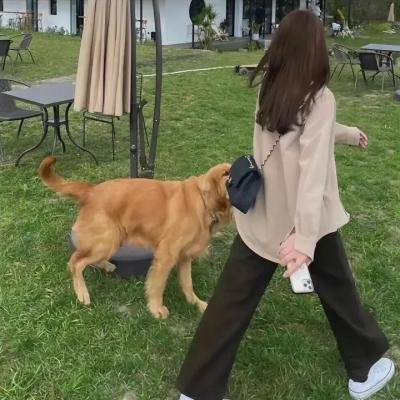 奇妙的命运呀